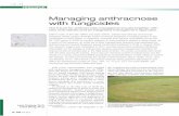 Managing anthracnose with fungicides - GCSAA · Managing anthracnose with fungicides ... acropetal penetrant p/c 1 high 3336, ... However, it should be noted that
