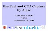 Bio-Fuel and CO2 Capture by Algae - The University ofpathway.soe.uq.edu.au/mediawiki/images/1/17/BenAmotz.pdf · Bio-Fuel and CO2 Capture by Algae Ami Ben-Amotz NASA November 20,