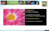 Covalent Bonding - Mr. Michael's Website - SATepchemistry.weebly.com/uploads/2/6/4/6/26468381/ch_8.3_vsepr.pdf · 8.3 Bonding Theories > 1 Chapter 8 Covalent Bonding 8.1 Molecular
