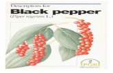 Descriptors for black pepper - bioversityinternational.org · Descriptors for black pepper Author: International Plant Genetic Resources Instit., (IPGRI), Rome (Italy) Keywords: