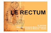 rectum [Mode de compatibilité] - موقع الدراسة الجزائري | الموقع … · • Compliance: 400 cc. 05/01/2008Dr. BAYOUD -Rectum16 Configuration interne • Explorée