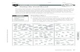 DATASHEET 18 STUDENT WORKSHEET Dating the Fossil Record relative... · 18 STUDENT WORKSHEET Dating the Fossil Record ... from the geology lab, ... this method of dating gives only