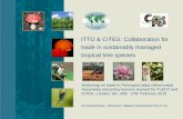 ITTO & CITES: Collaboration for trade in sustainably ... ITTO... · INTERNATIONAL TROPICAL TIMBER ORGANIZATION (ITTO) ITTO & CITES: Collaboration for trade in sustainably managed