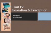 Unit IV: Sensation & Perception - bremertonschools.org · Unit IV: Sensation & Perception Ms. Justice AP Psychology. Unit IV - Overview 16 –Basic Principles of Sensation & Perception