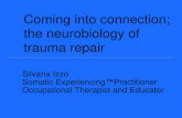 Coming into connection; the neurobiology of trauma …chp.org.au/wp-content/uploads/2015/10/Silvana-Izzo.pdf · Coming into connection; the neurobiology of trauma repair ... threat