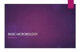 BASIC MICROBIOLOGY - WordPress.com · basic microbiology handout 2. nutrition and growth