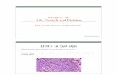 Limits to Cell Size - stjoes.org 10 Section... · Chapter 10: Cell Growth and Division 10.1 - Growth, Division, and Reproduction Mr. M. Varco Saint Joseph High School Limits to Cell