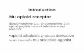 Introduction Mu opioid receptor · Structure-Activity Relationships(SAR) of mu receptor agonistship SAR-Morphine -Morphineเป นPrototype opioidมันจะselectiveต อmu-receptor