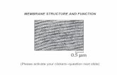 MEMBRANE STRUCTURE AND FUNCTION · PDF fileMEMBRANE STRUCTURE AND FUNCTION. ... Membran e structure ... 1. Proton pump in plasma membrane pumps H+ out of cell,