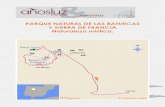 PARQUE NATURAL DE LAS BATUECAS Y SIERRA … · 4 Ruta de senderismo (Fácil, 11 km, 300 m desnivel, 5h con descansos incluidos) entre La Alberca y Mogarraz pasando por algunos tramos