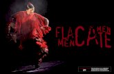 COMPAÑÍA PEPA MOLINA · light and life with deep Flamenco music. Sentiment of the flamenco dancer that pervades the entire stage, emanating from the interior ... Juan Andrés Maya