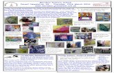 Meridian Primary School Parent Newsletter 26 - Thursday ... · Meridian Primary School Parent Newsletter 26 - Thursday, ... the Ball Cage Project. I can write lots now and ... 21st