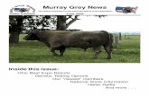 Murray Grey News 2006.pdf · Murray Grey News The Official Publication of the American Murray Grey Association June 2006 Inside this issue: Ohio Beef Expo Results Genetic Testing