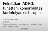 Felnőttkori ADHD: tünettan, komorbiditás, kórlefolyás és ...semmelweis.hu/pszichiatria/files/2016/10/adhd_előadás_magyar... · Felnőttkori ADHD: tünettan, komorbiditás,