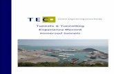 Tunnels & Tunnelling Experience Record - tec-tunnel.comtec-tunnel.com/.../2018/...2018-Immersed-tunnels.pdf · Busan – Geoje Link, ... design, tender documents, tender evaluation,
