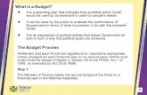 What is a Budget? - MPGfinance.mpu.gov.za/documents/budget.made.easy.2008.pdf · finance DEPARTMENT: FINANCE MPUMALANGA PROVINCIAL GOVERNMENT What is a Budget? It is a spending plan