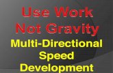 Multi-Directional Speed Developmentstorage.googleapis.com/wzukusers/user-13893212/documents... · Keep Lead Shoulder Inside Hip ... Specific to Speed Mechanics or Agility Drill. Movement