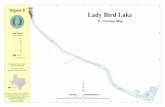 420 Lady Bird Lake - Texas Water Development Board · Lady Bird Lake 5' - C ont ur Map CONTOURS Islands (in feet NGVD29) 395 400 405 410 415 420 425 Lady Bird Lake C ons er vatiP