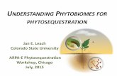 NDERSTANDING PHYTOBIOMES FOR PHYTOSEQUESTRATION … · Trivedi et al 2012. ISME J. Chaparro et al., PLOS ONE 8, e55731 (2013) How do plant roots influence the rhizosphere microbiome