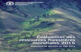 ‰valuation des ressources foresti¨res mondiales .‰valuation des ressources foresti¨res mondiales