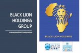 BLACK LION HOLDINGS GROUP - Budapest Water … · The Black Lion Holdings team has experience working across major sectors in the African region and other emerging and frontier markets.