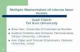 Multiple filamentation of intense laser beams Gadi … · Multiple filamentation of intense laser beams Gadi Fibich Tel Aviv University zBoaz Ilan, ... zInput power 65.5GW (~20Pcr)