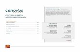 Cenovus Central Alberta Assets Opportunity Teaser - … CENTRAL ALBERTA a “white map”. ASSETS OPPORTUNITY TABLE OF CONTENTS ... Bryan Berg Managing Director Tel: (403) 216-6621