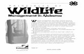 ALABAMA A&M AND AUBURN UNIVERSITIES WildLife · WildLife YANR-197 ALABAMA A&M AND AUBURN UNIVERSITIES Management inAlabama ... Plant Succession Vegetation and water are the ... need