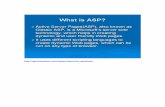 Document1 - TestingBrain€¦ · What is ASP? Active Server Pages(ASP), also known as Classic ASP, is a Microsoft's server side technology, which helps in creating dynamic and user