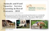 Animals and Food Security: Service Learning in Rural ... Romania... · Security: Service Learning in Rural Romania - 2010 ... Animals and Food Security: Service Learning in Rural