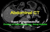 Abdominal CT - GI-2 Abdominal CT.pdf  Abdominal CT Supot Pongprasobchai ... Honeycomb Necklace. ALA