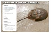 3: ENGINEER AN ARTHROPOD - California Academy of Sciences · • Write the secret words on index cards. • Collect recycled materials (cereal boxes, toilet paper rolls, bottles,