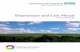 Depression and Low Mood - Self Help Guides · 2 Page How can this guide help me? 4 What does research tell us about depression? 4-5 Signs and symptoms you may experience if you are
