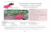 APS Armidale 2015 1 Autumn Australian Plants Society Autumn.pdf · 2017-07-07 · APS Armidale 2015_1 Autumn Page 1 From the newsletter editor: ... (see the last page for details).