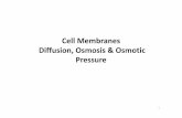 Cell Membranes Diffusion, Osmosis Osmotic Pressure lectures/Biochemistry/Osmotic...  25 Osmotic Pressure