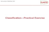 Classification—Practical Exercise - GATE · University of Sheffield, NLP Classification—Practical Exercise ... more hassle, and “Key” should be reserved for manual annotations