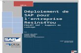 Déploiement de SAP pour l’entreprise Resins4Youmickael.quesnot.free.fr/_media/rapport-de-cadrage-sap... · Web viewLe système SAP offre un chemin de configuration spécifique