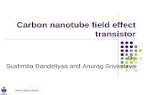 Carbon nanotube field effect transistor - .Semiconductor Physics Carbon nanotube field effect transistor