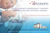 100G w sieciach szkieletowych i miejskich 100G for … · 100G w sieciach szkieletowych i miejskich 100G for Long Haul and metro networks ... A single channel can be filtered from