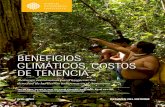 BENEFICIOS CLIMÁTICOS, COSTOS DE TENENCIA … · comunitaria: evidencia de Brasil y Guatemala. Este trabajo presenta un análisis original de correspondencia con respecto a las tasas