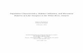 Population Characteristics, Habitat Utilization, and ... · Population Characteristics, Habitat Utilization, and Movement Patterns of Lake Sturgeon in the White River, Ontario ...