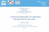 Environmental pillar of migration: Introduction to the topic · of environmental degradation Environmental Emergency Migrants who “flee” the worst of an environmental impact to