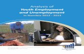 Youth Employment and Unemployment - My · Analysis of Youth Employment and Unemployment i Namibia 212 21 5. ExEcutivE summary (ii) Causes of youth unemployment: Youth unemployment