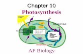 Photosynthesis - pdfs.semanticscholar.org filePhotosynthesis converts light energy to the chemical energy of food . Evolution of Photosynthesis • Chloroplasts are structurally similar
