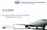 A SUCCESS CASE OF COLLABORATION GRUAIRPORT & GOL A SUCCESS CA… · A SUCCESS CASE OF COLLABORATION GRUAIRPORT & GOL Capt Miguel Dau ... GOL & GRU AIRPORT ... Jan Feb Mar Apr May