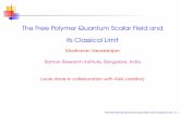 The Free Polymer Quantum Scalar Field and its …jpa/qgqg3/MadhavanVaradarajan.pdf · The Free Polymer Quantum Scalar Field and its Classical Limit Madhavan Varadarajan Raman Research