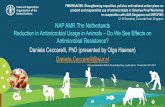 FMM/RAS/298: Strengthening capacities, policies and ... · No use in animals of all new antibiotics: Carbapenems, tigecycline, daptomycin, oxazolidones, mupirocin ... Slide 1 Author: