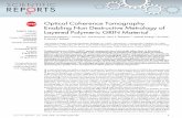 Optical Coherence Tomography Enabling Non Destructive ... Optical Coherence Tomography Enabling