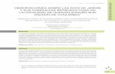 OBSERVACIONES SOBRE LAS AVES DE JARDÍN Y …brotescientificos.usach.cl/sites/brotes/files/v1n2a2017_a1.pdf · viota dominicana (Larus dominicanus) como el Aguilu-cho común (Geranoaetus