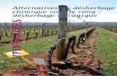 ITINÉRAIRES - Institut Francais de la Vigne et du Vin · 5 Institut Français de la Vigne et du Vin Lames intercep Braun sur châssis enjambeur Houe rotative Pétalmatic Boisselet